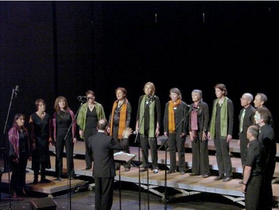 Chanteurs musiciens professionnel